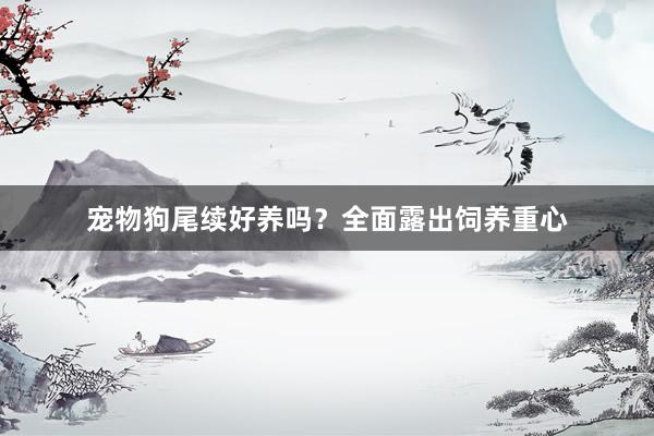 宠物狗尾续好养吗？全面露出饲养重心