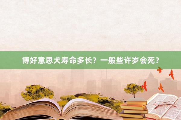 博好意思犬寿命多长？一般些许岁会死？